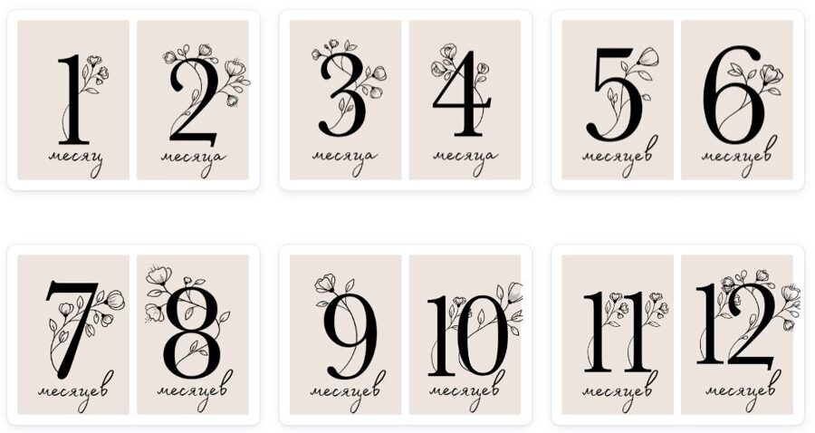 Lielās mēneškartītes krieviski