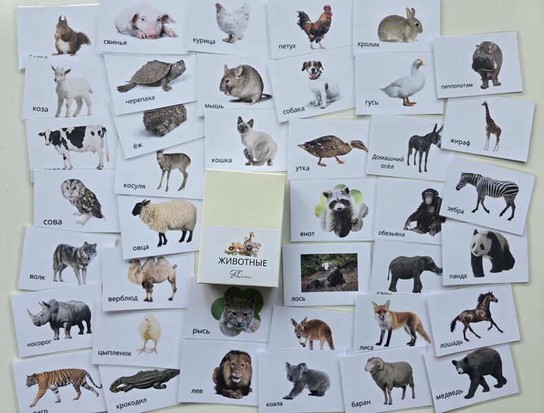 Животные - kartītes krieviski