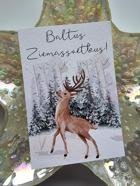 Baltus Ziemassvētkus!