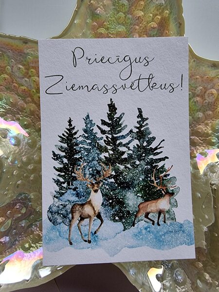 Priecīgus Ziemassvētkus!