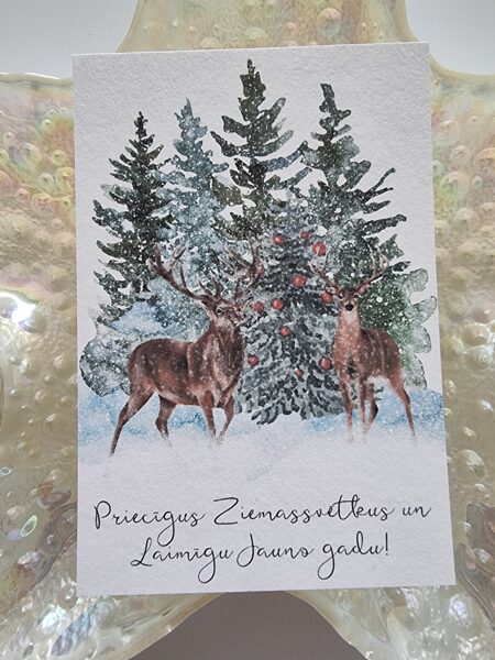 Priecīgus Ziemassvētkus un laimīgu Jauno gadu