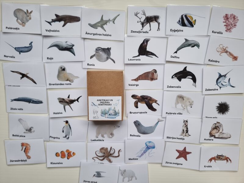 Arktikas un okeāna iemītnieki