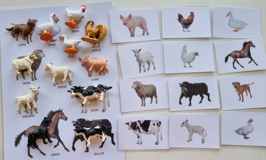 Safari Fermas zvēriņi un kartītes