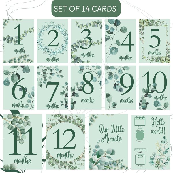 Mēneškartītes ar eikaliptu ENG